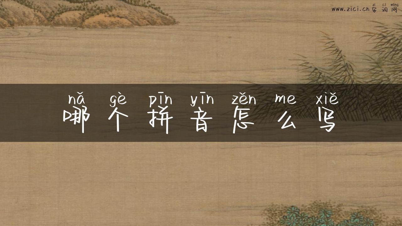 哪个拼音怎么写