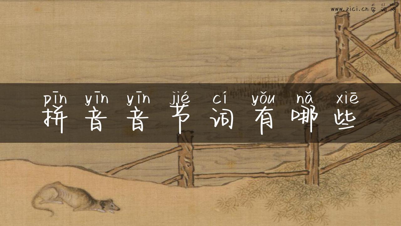拼音音节词有哪些