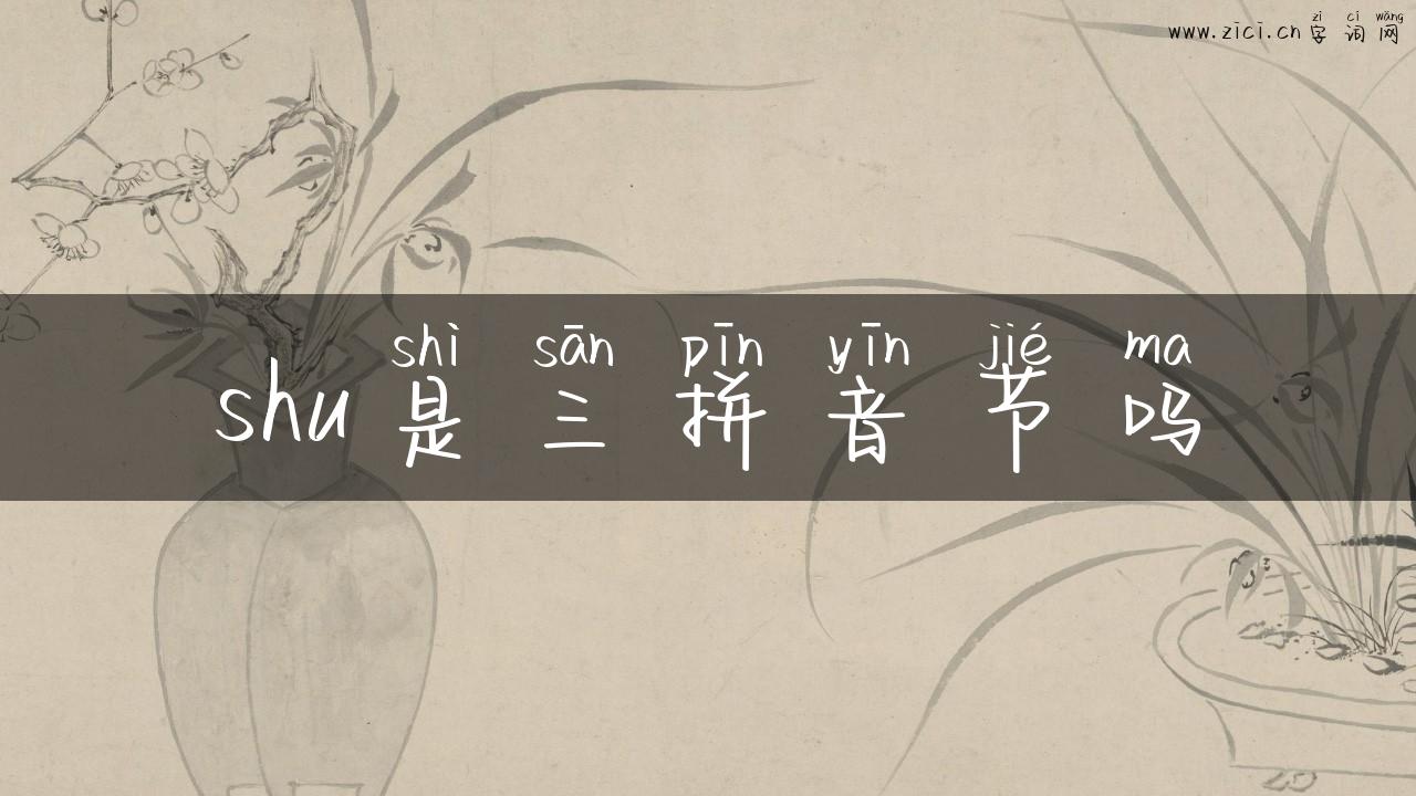 shu是三拼音节吗