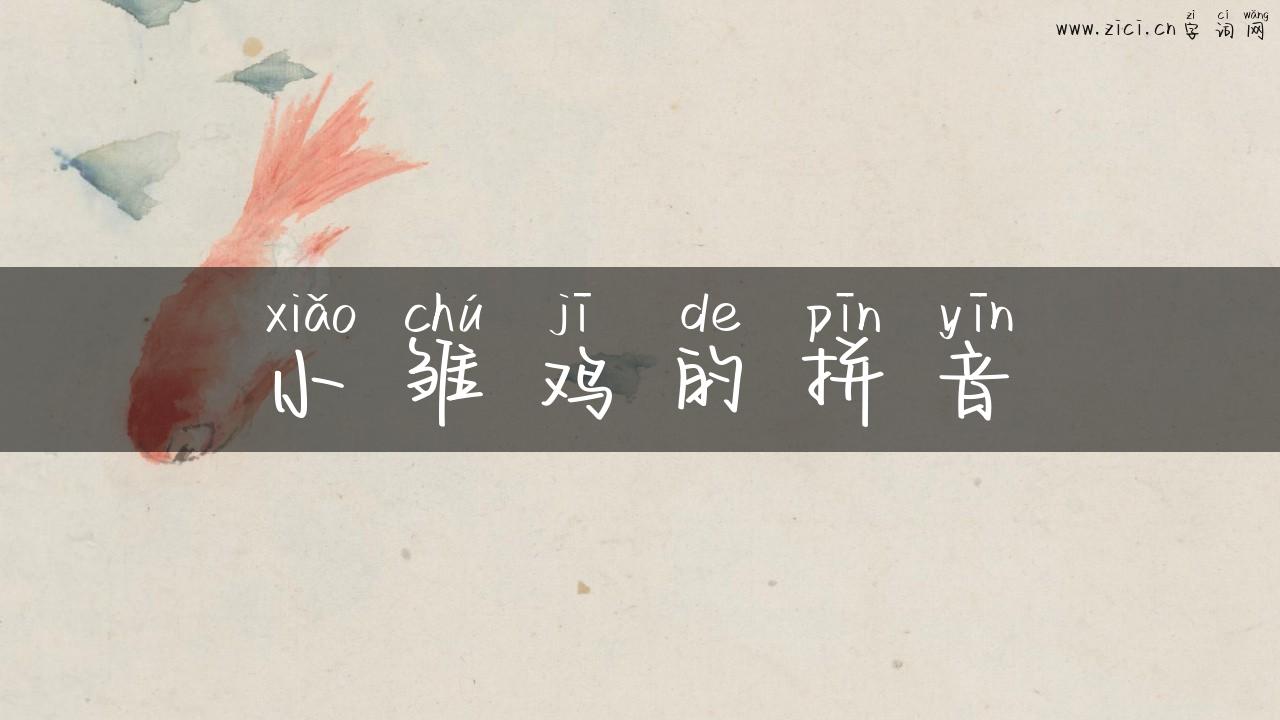 小雏鸡的拼音