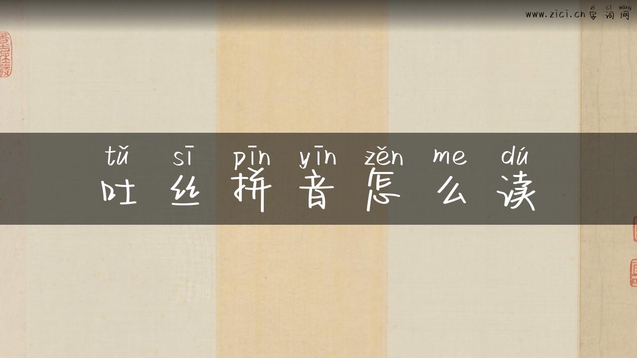 吐丝拼音怎么读
