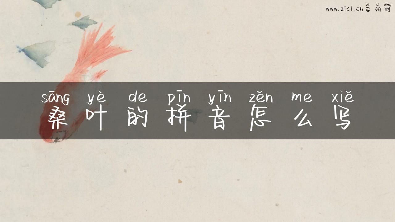 桑叶的拼音怎么写