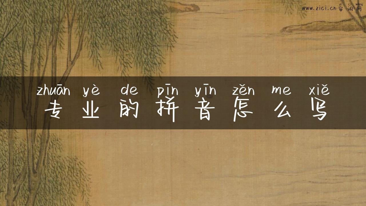 专业的拼音怎么写