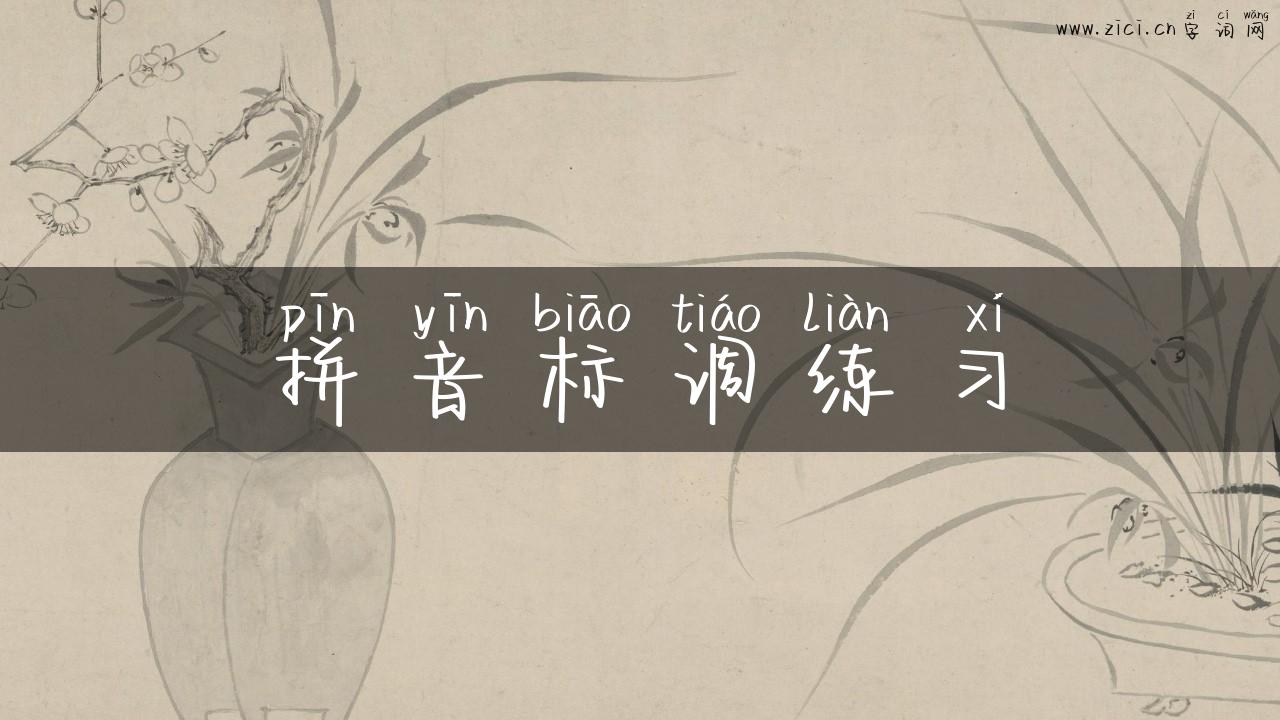 拼音标调练习