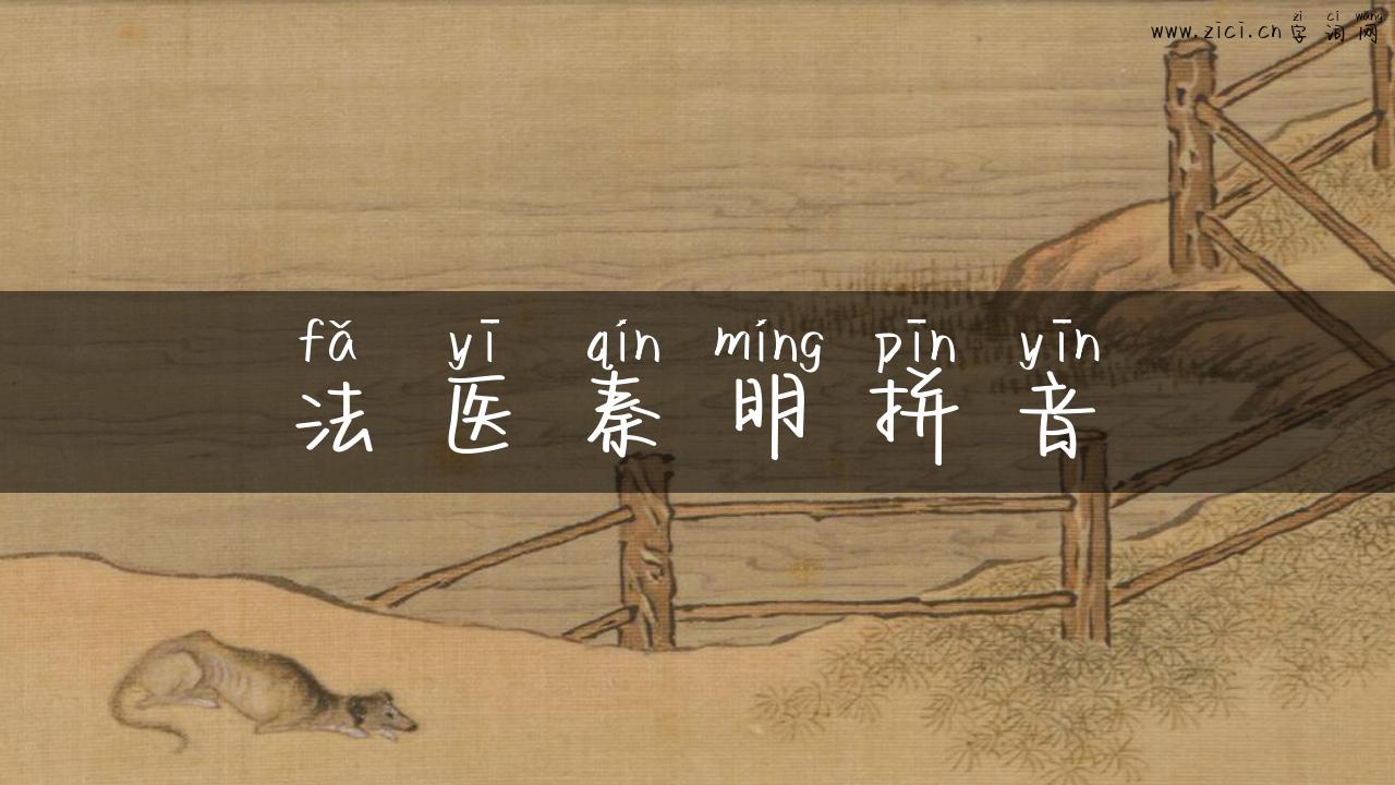 法医秦明拼音