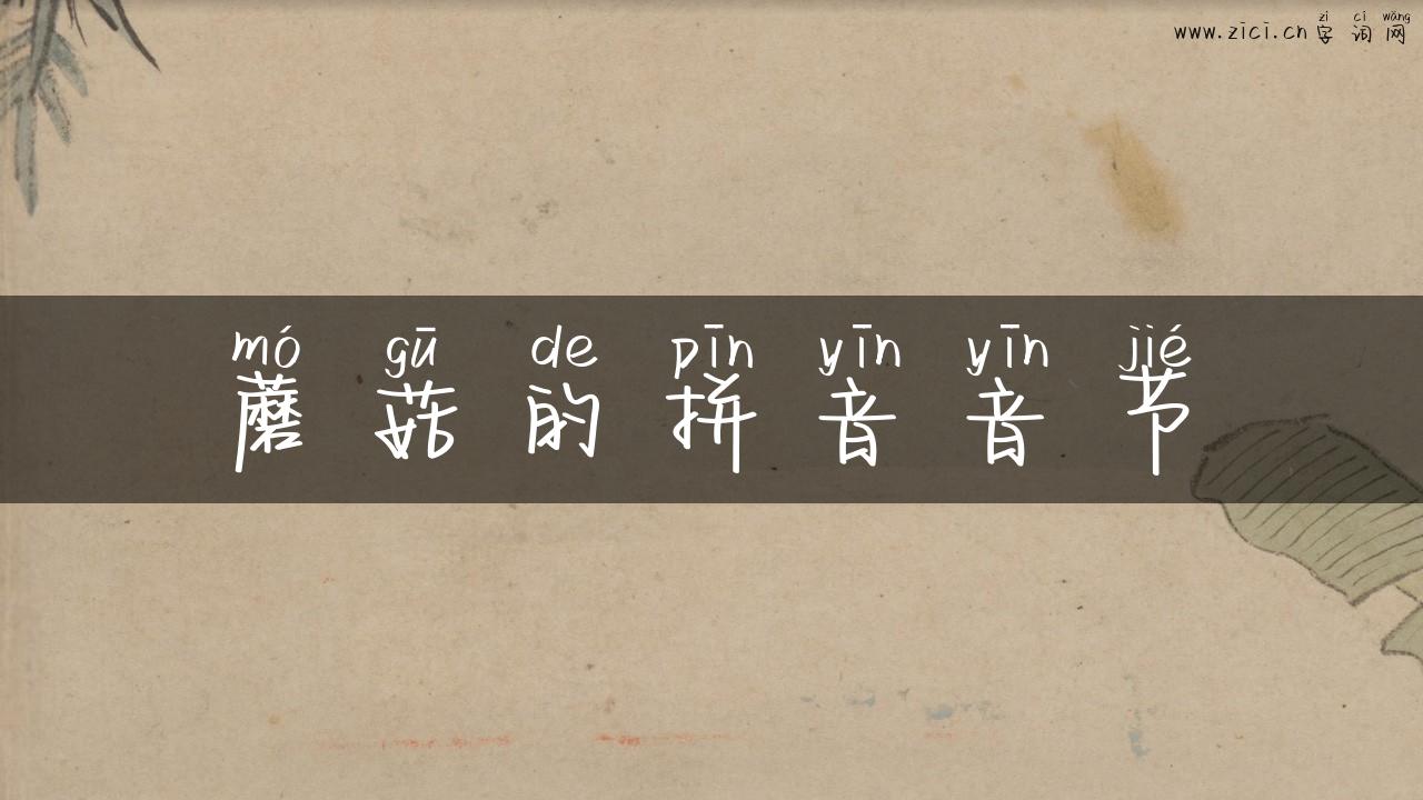 蘑菇的拼音音节