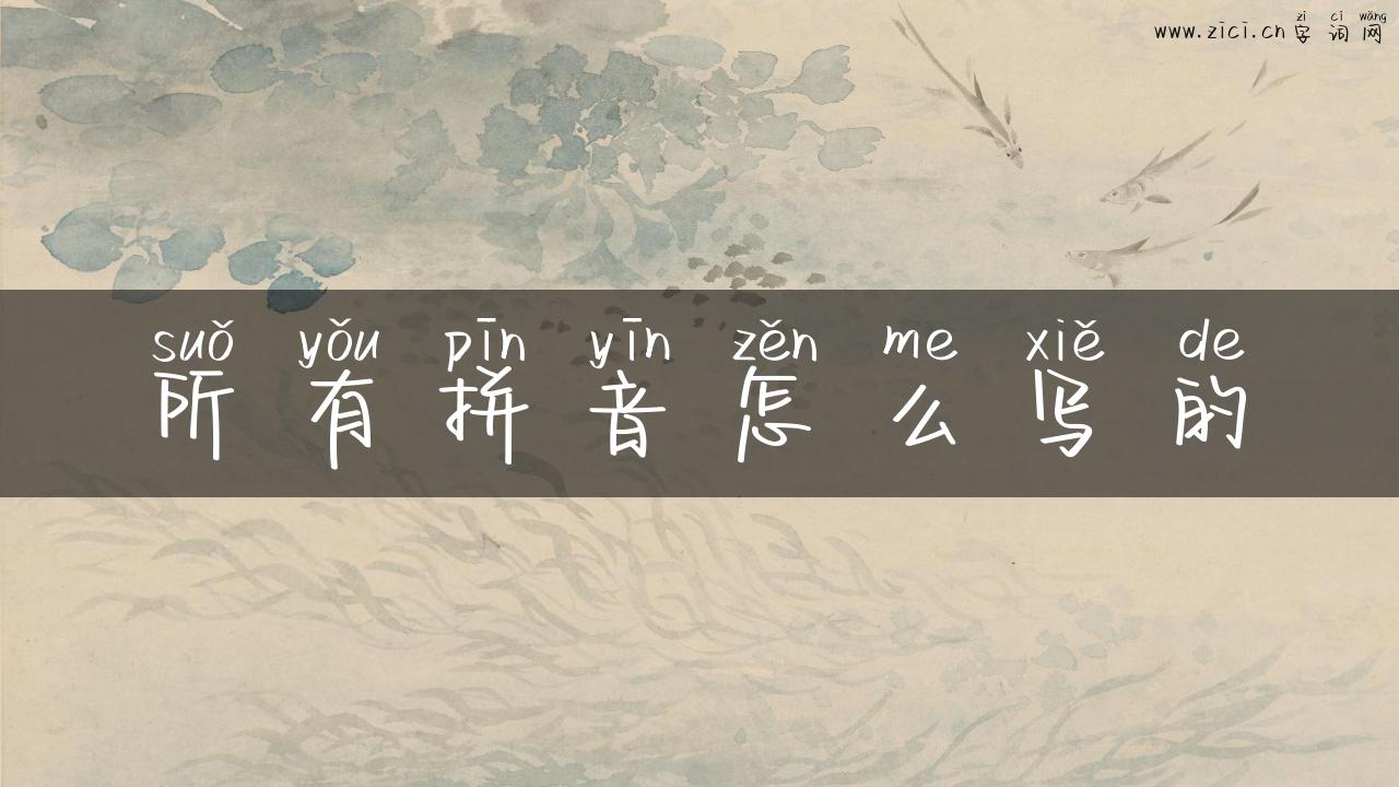 所有拼音怎么写的