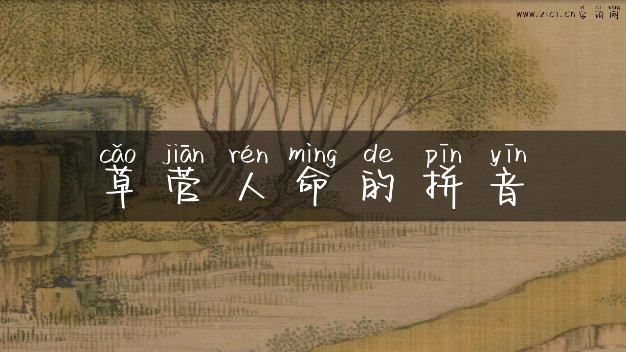 草菅人命的拼音
