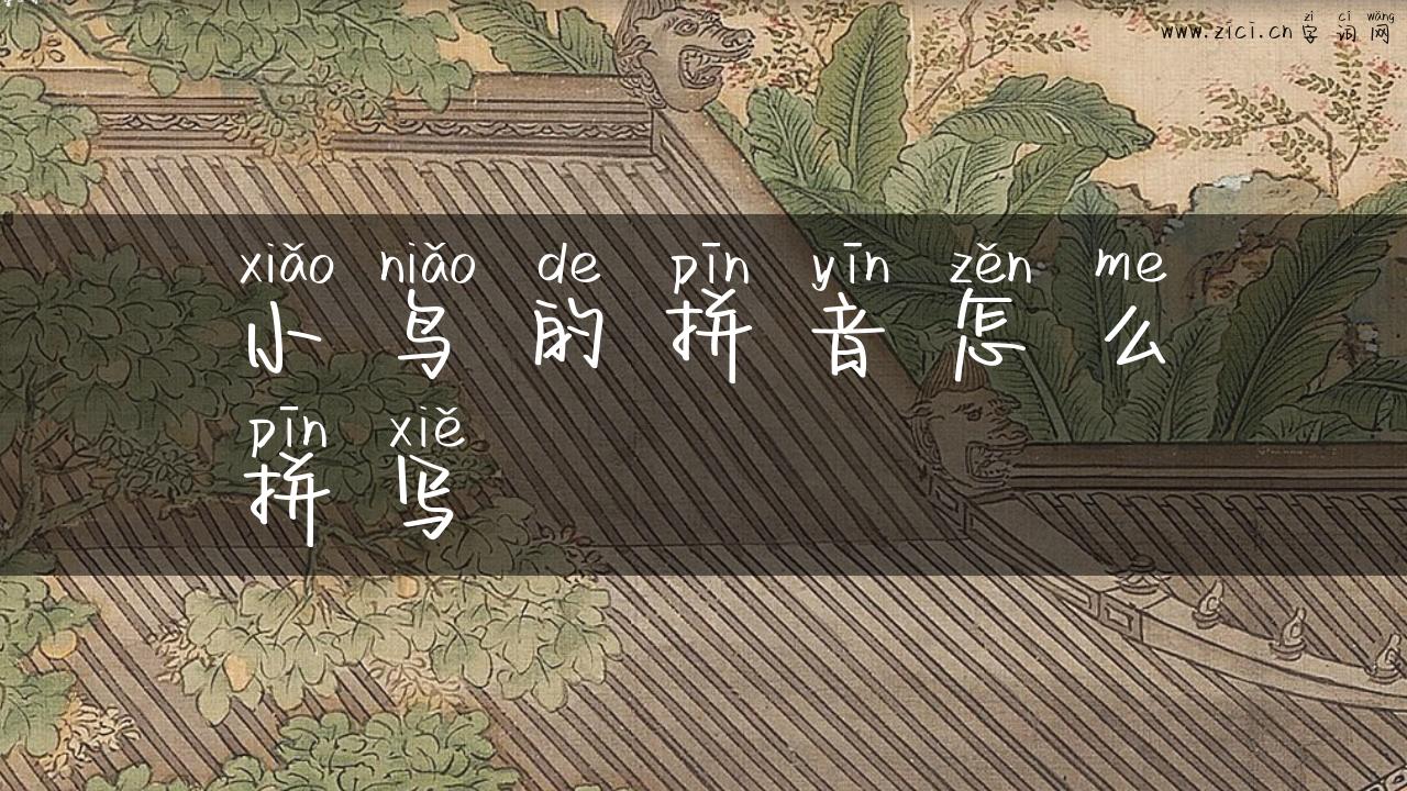 小鸟的拼音怎么拼写