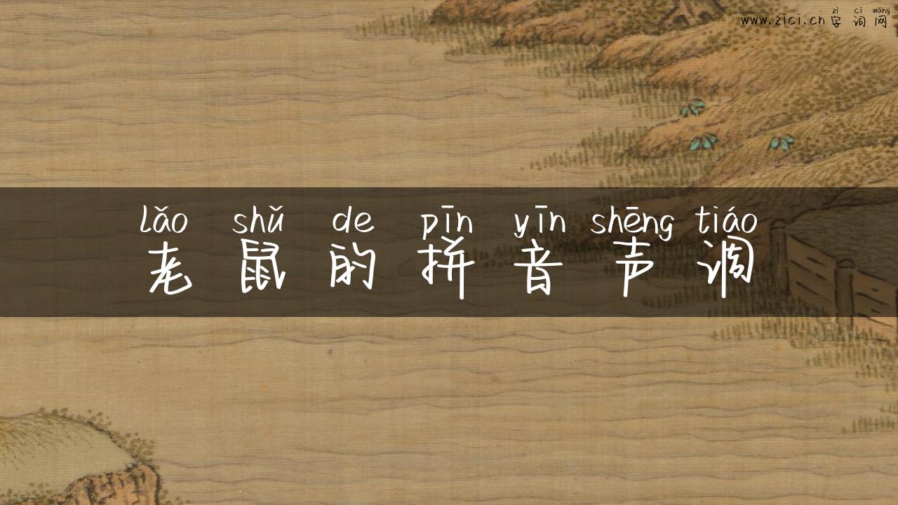 老鼠的拼音声调