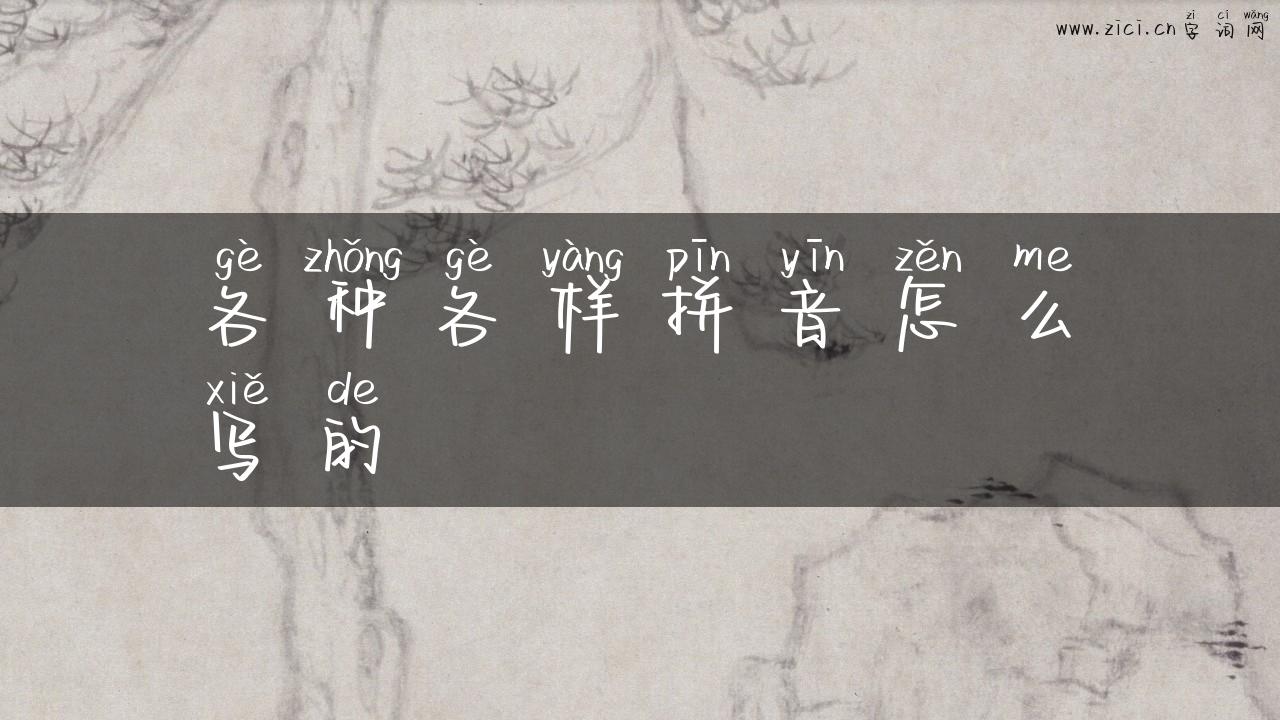 各种各样拼音怎么写的