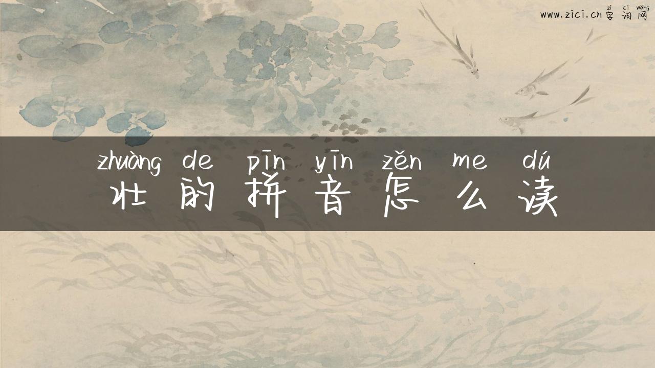 壮的拼音怎么读
