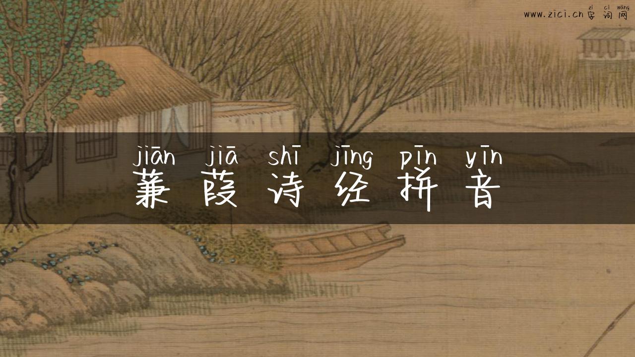 蒹葭诗经拼音