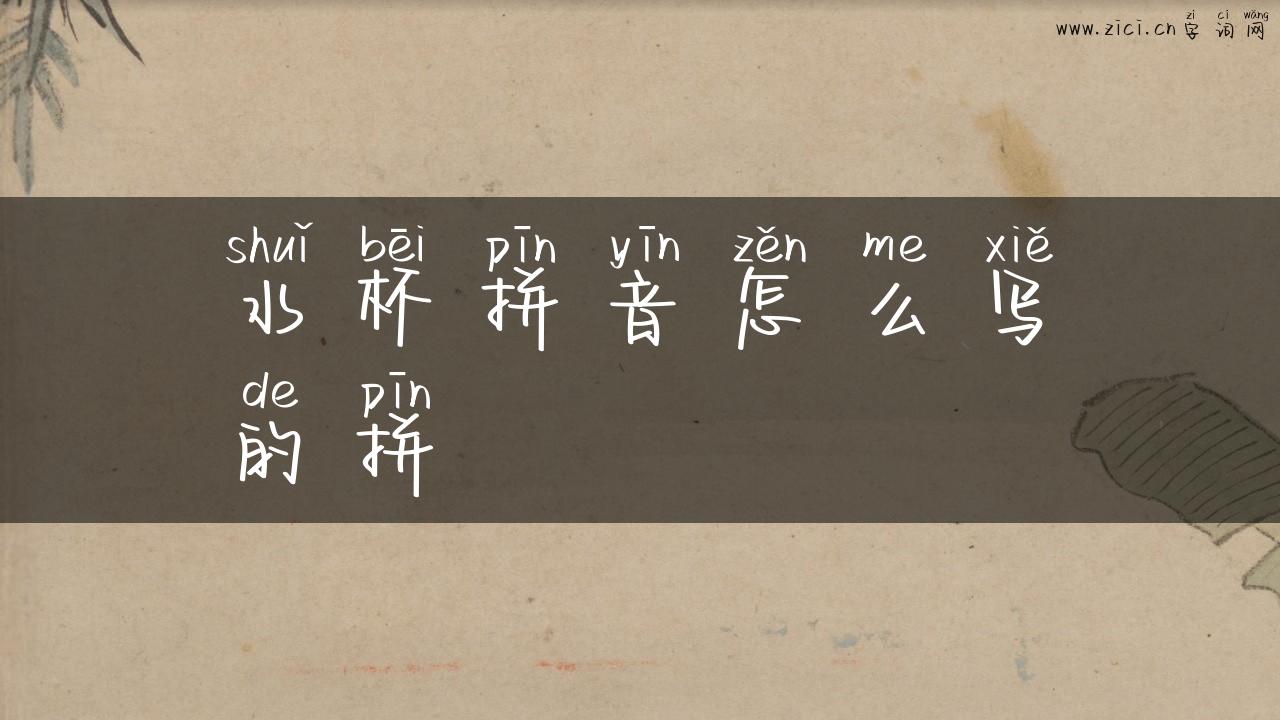 水杯拼音怎么写的拼