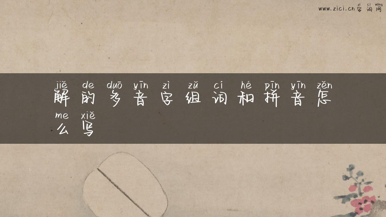 解的多音字组词和拼音怎么写