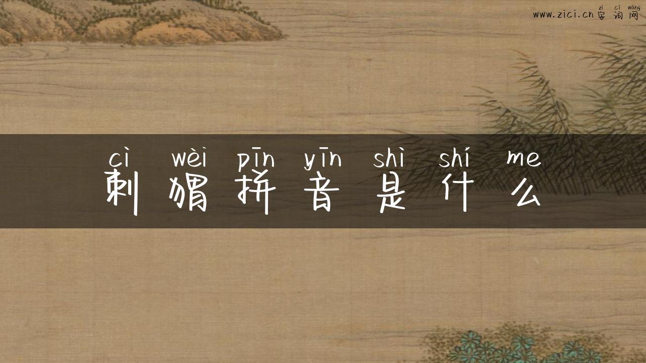 刺猬拼音是什么