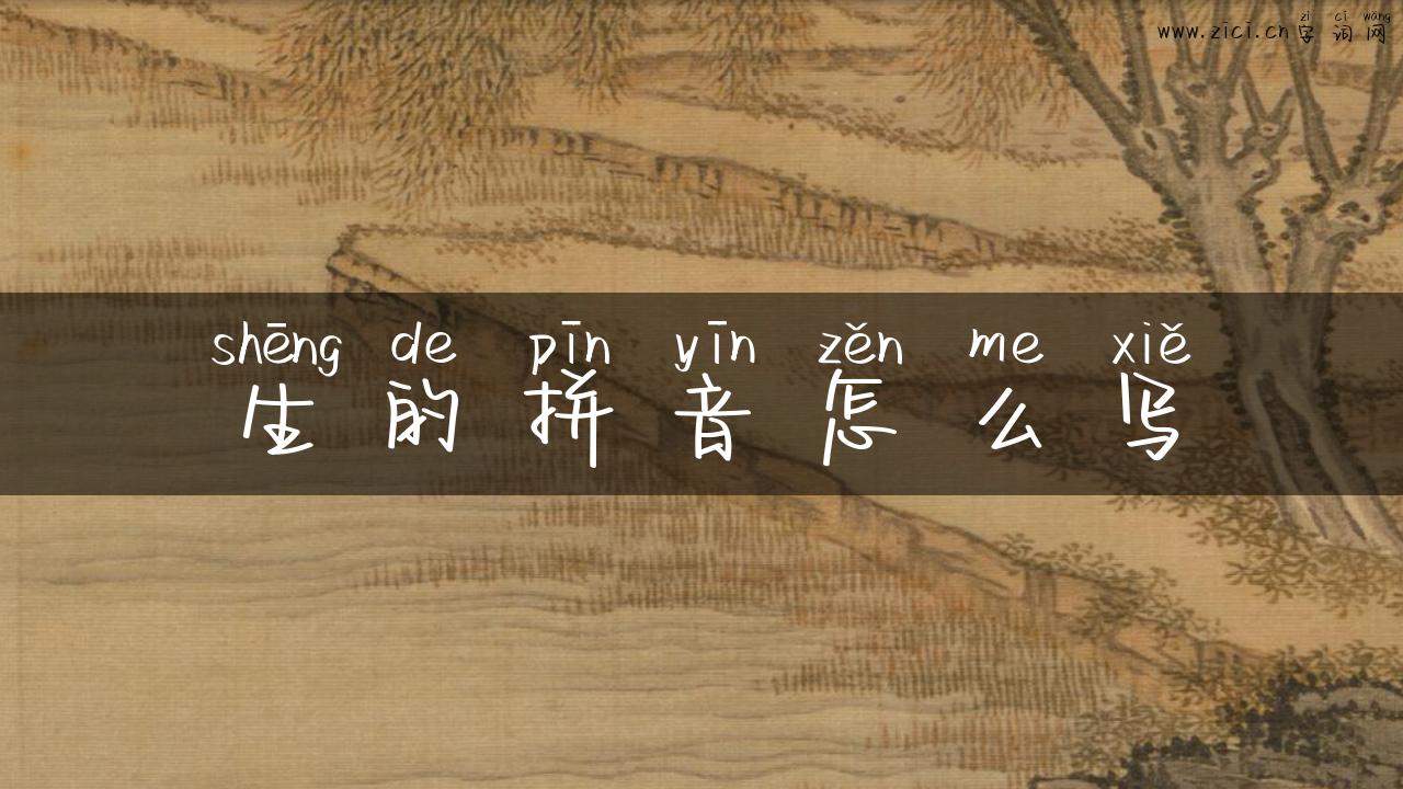 生的拼音怎么写