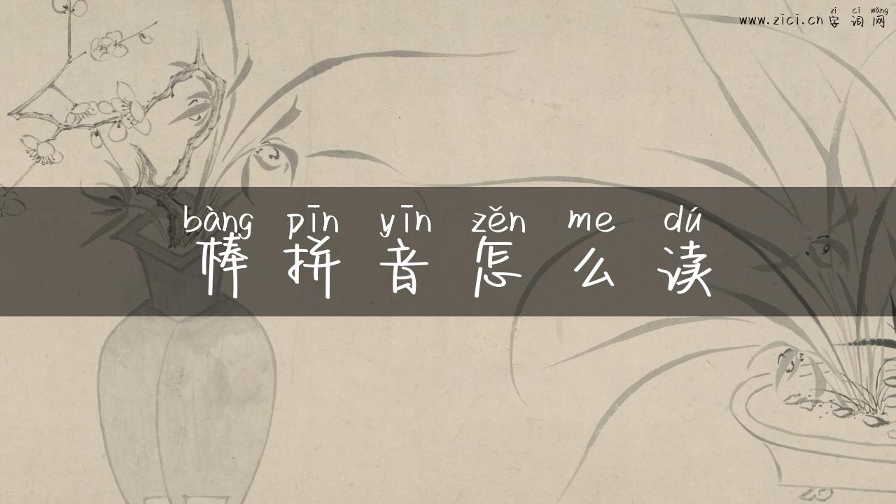 棒拼音怎么读