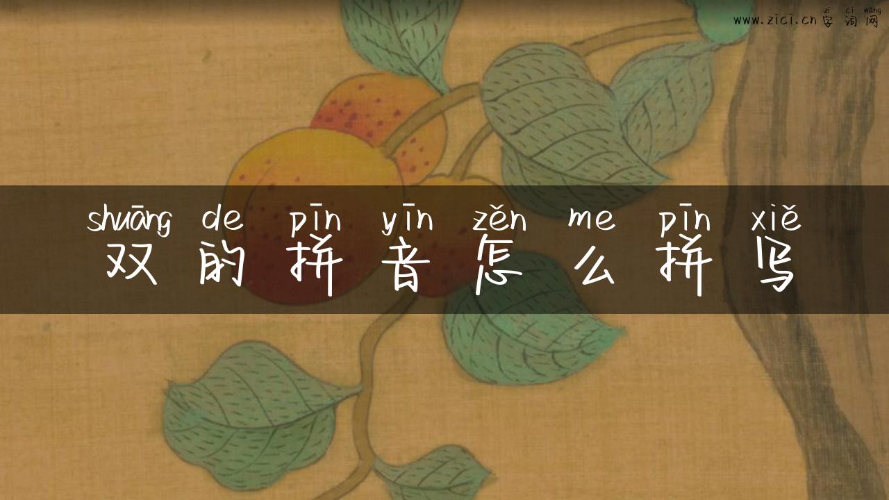 双的拼音怎么拼写