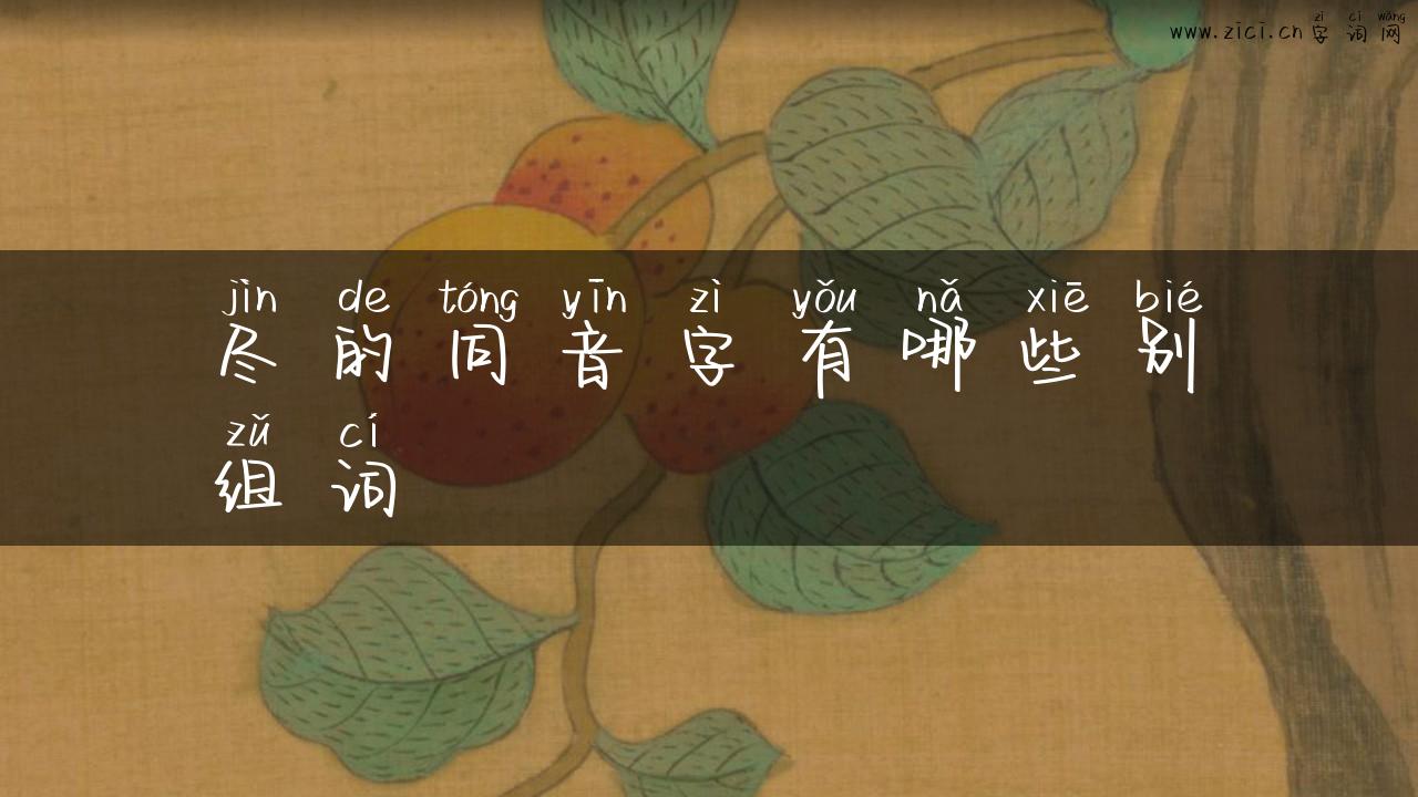 尽的同音字有哪些别组词