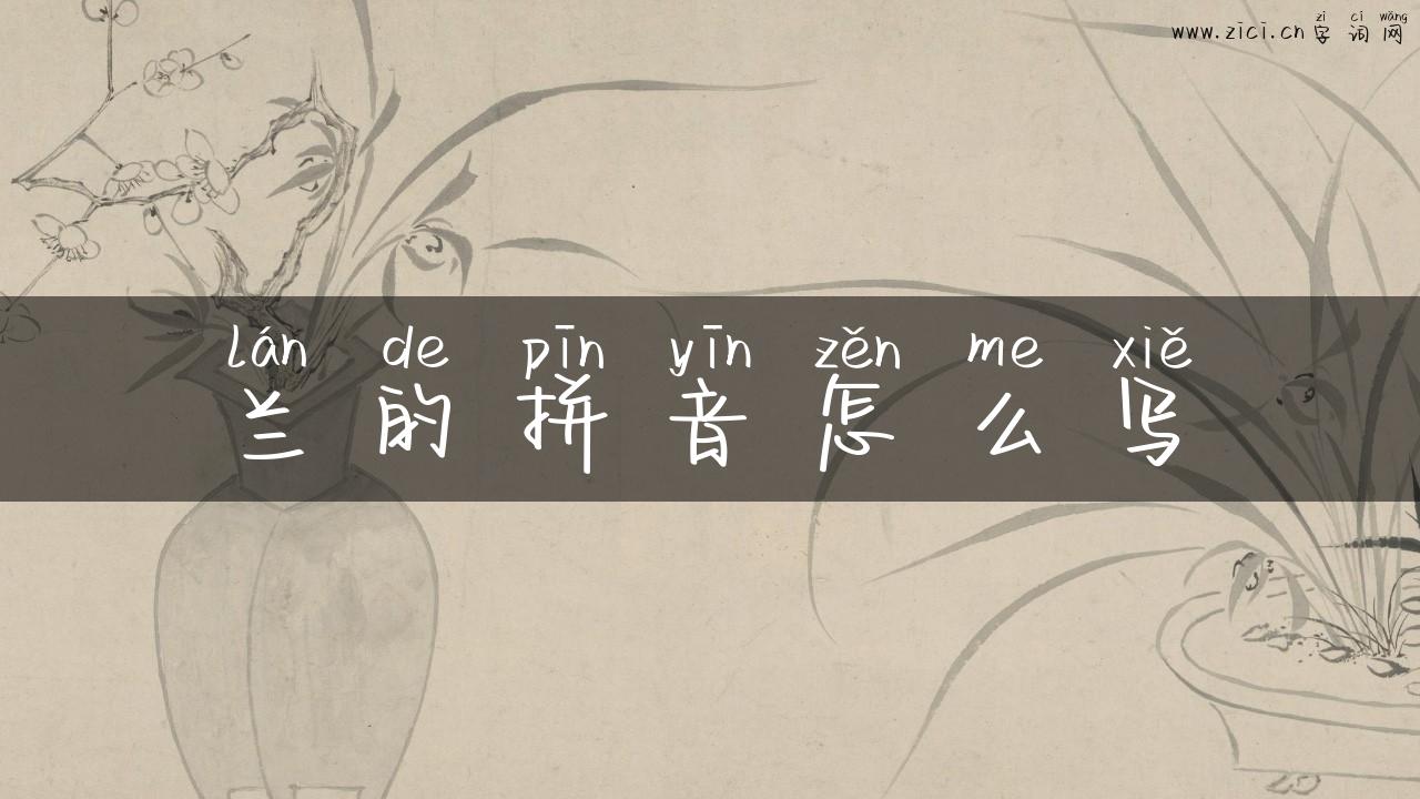 兰的拼音怎么写