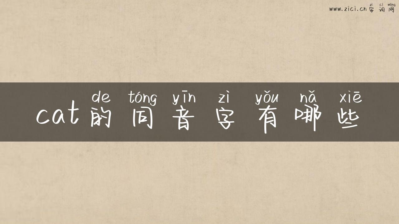 cat的同音字有哪些