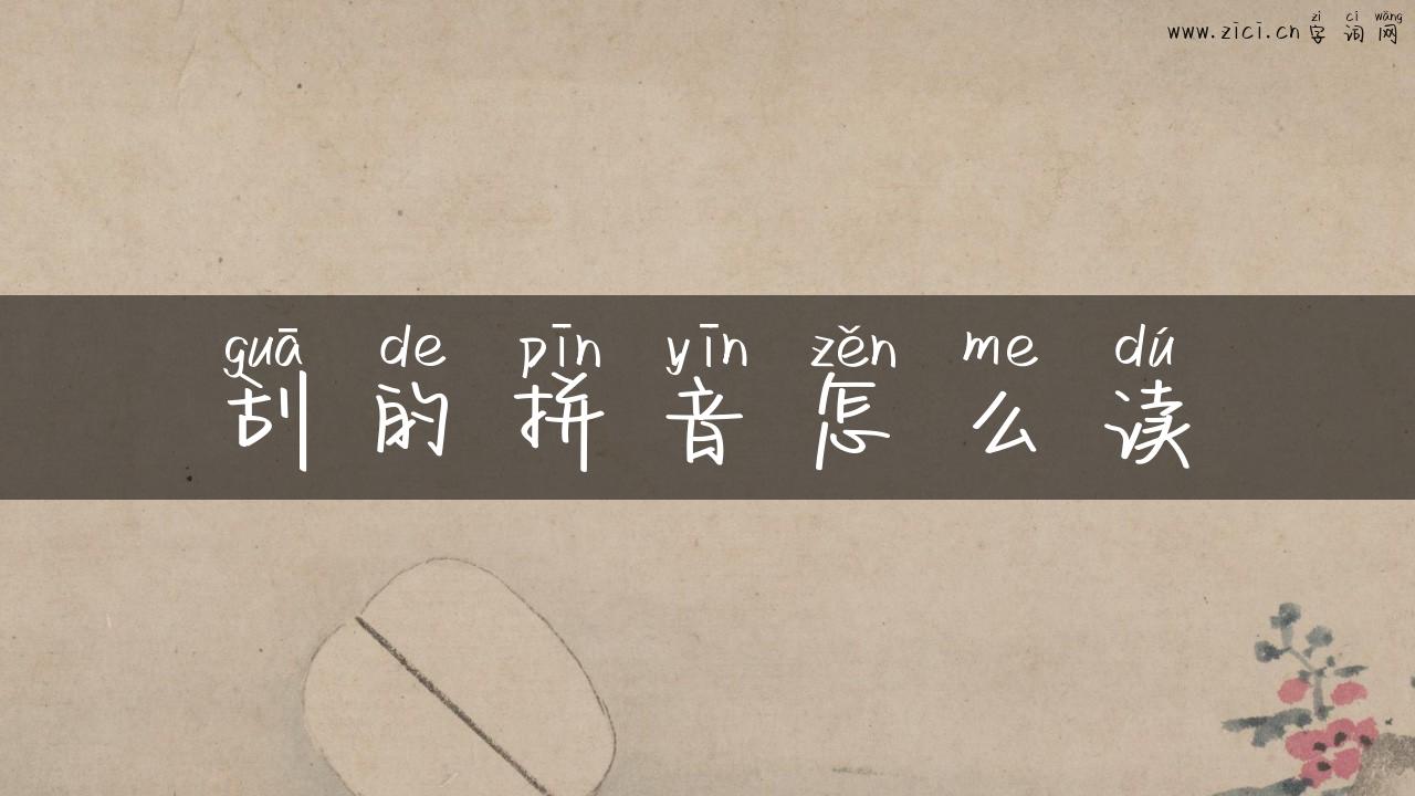 刮的拼音怎么读