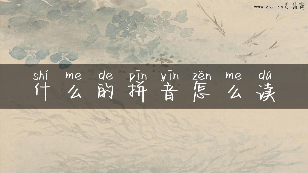 什么的拼音怎么读