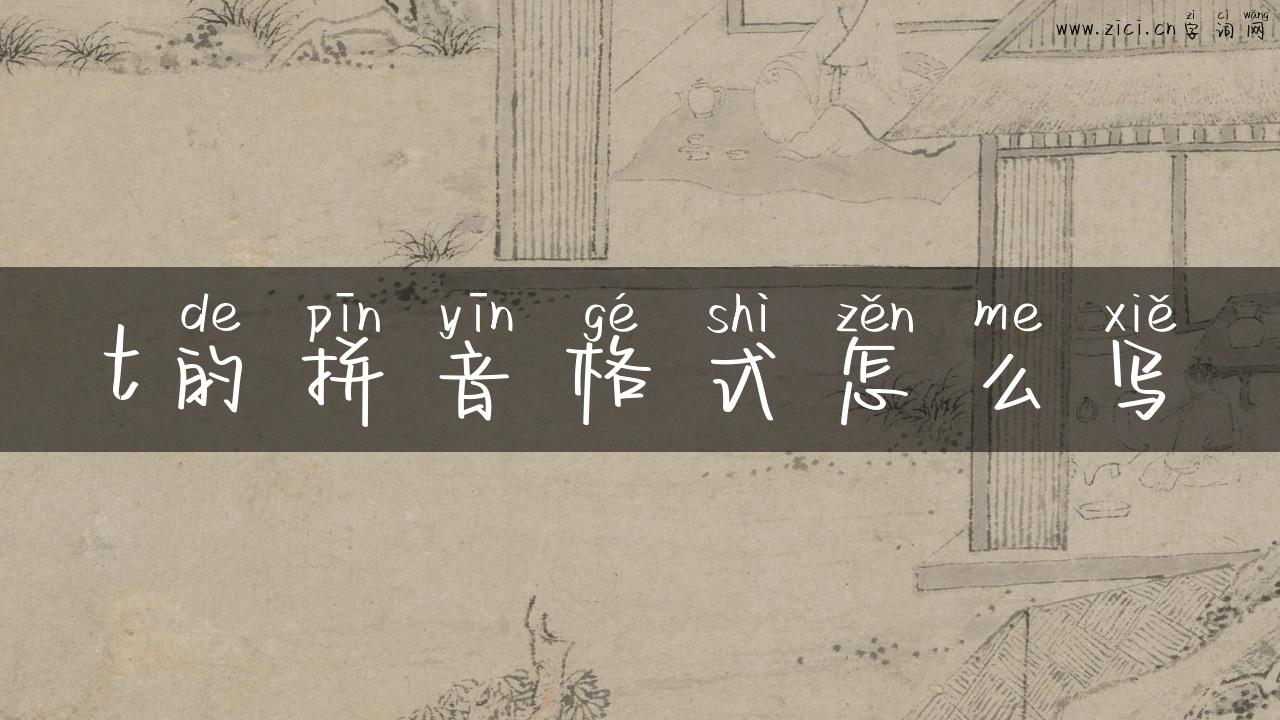 t的拼音格式怎么写