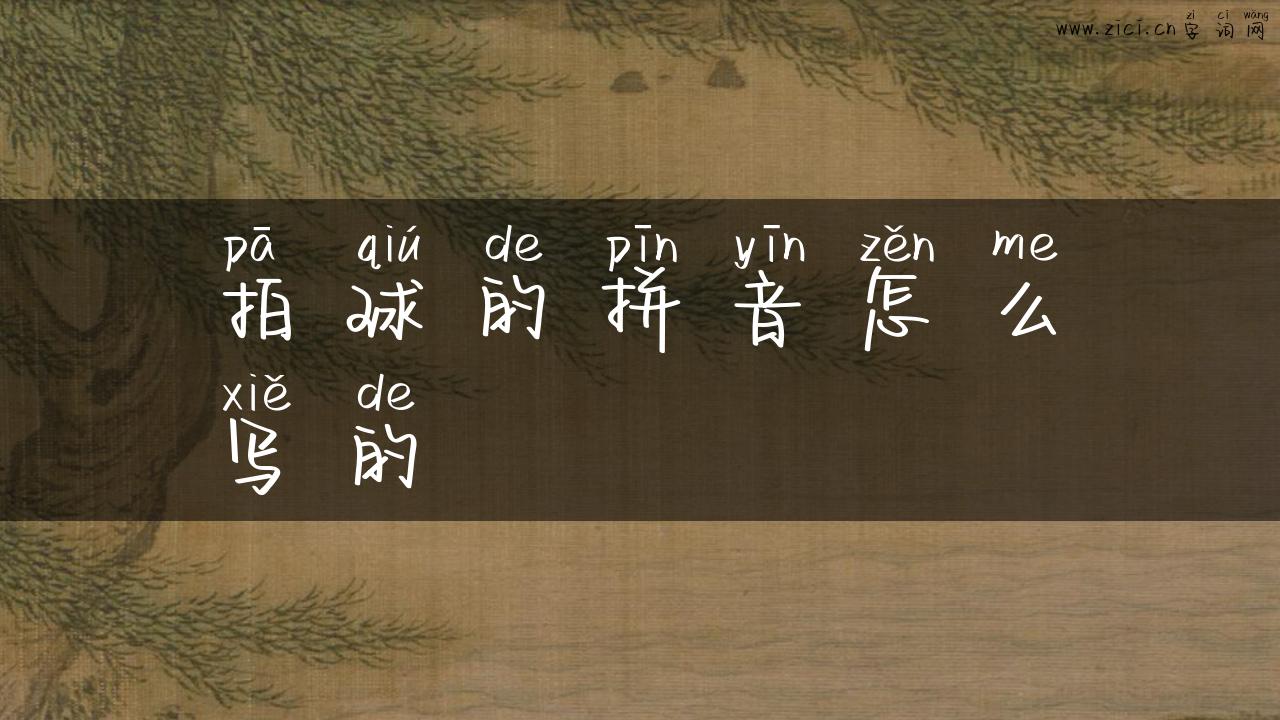 拍球的拼音怎么写的