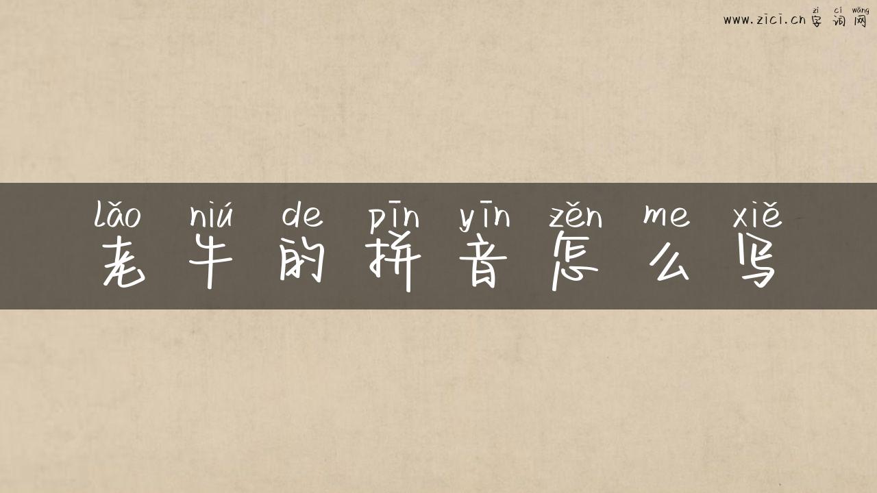 老牛的拼音怎么写