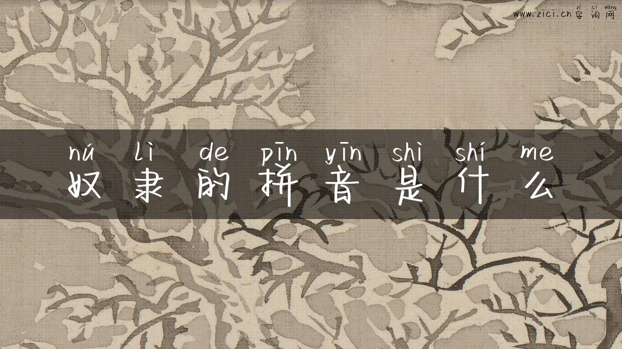 奴隶的拼音是什么