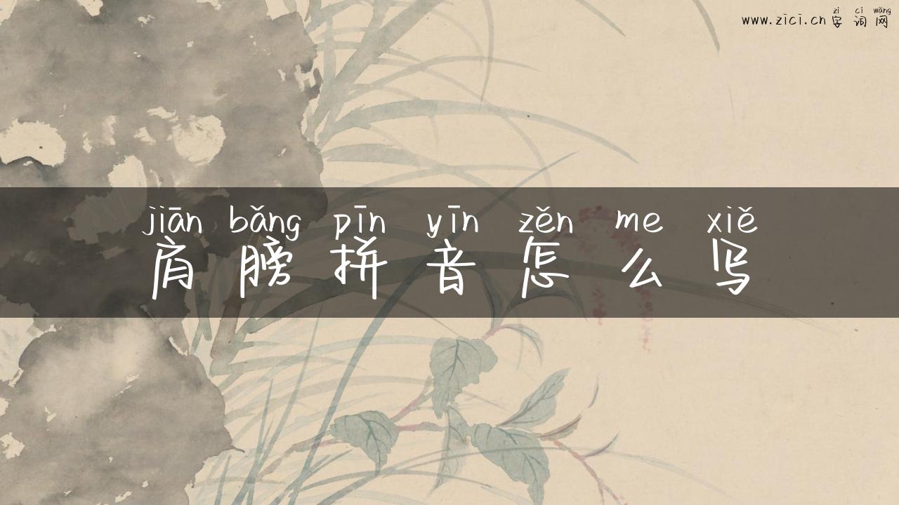 肩膀拼音怎么写