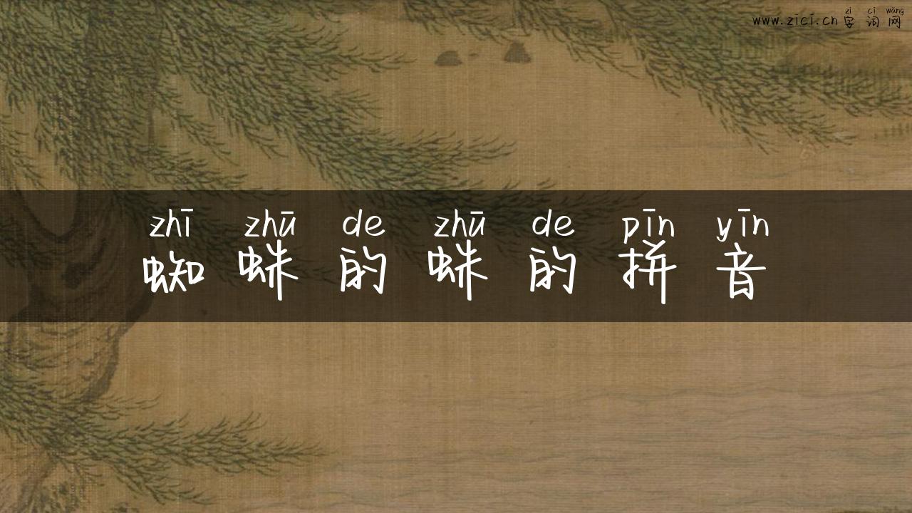 蜘蛛的蛛的拼音