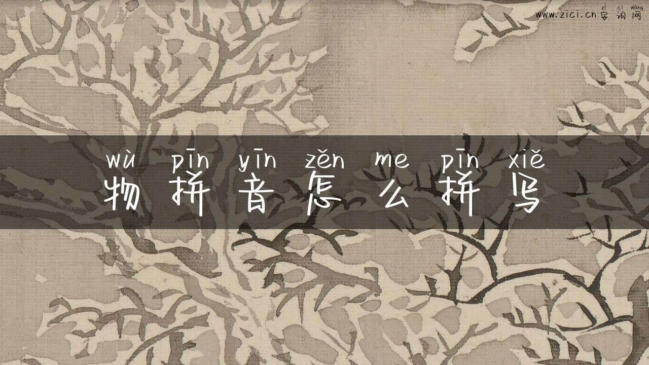 物拼音怎么拼写