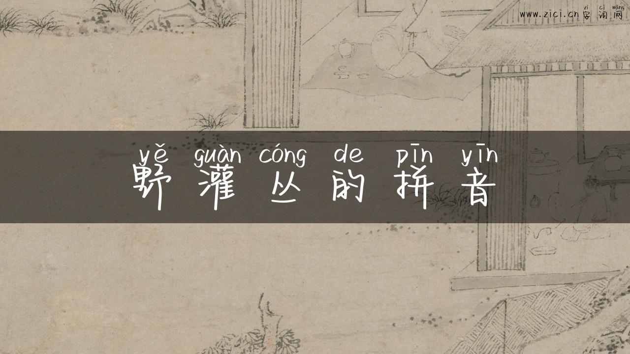 野灌丛的拼音
