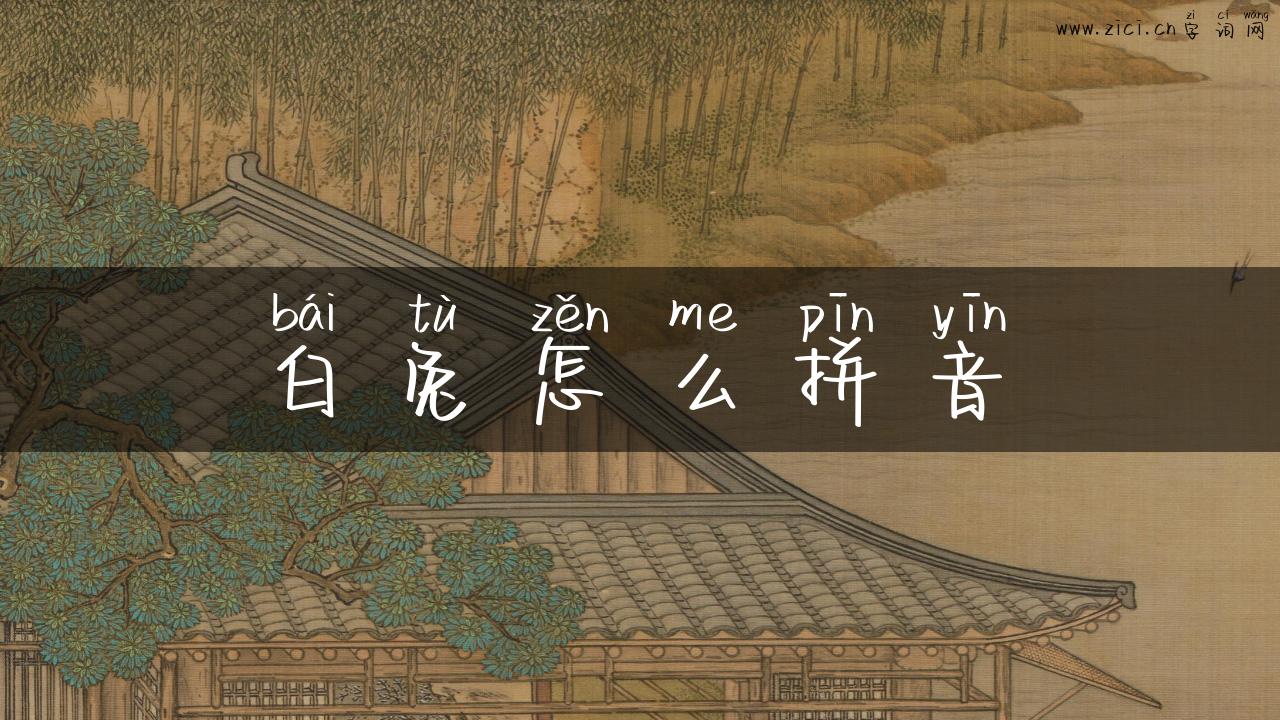 白兔怎么拼音
