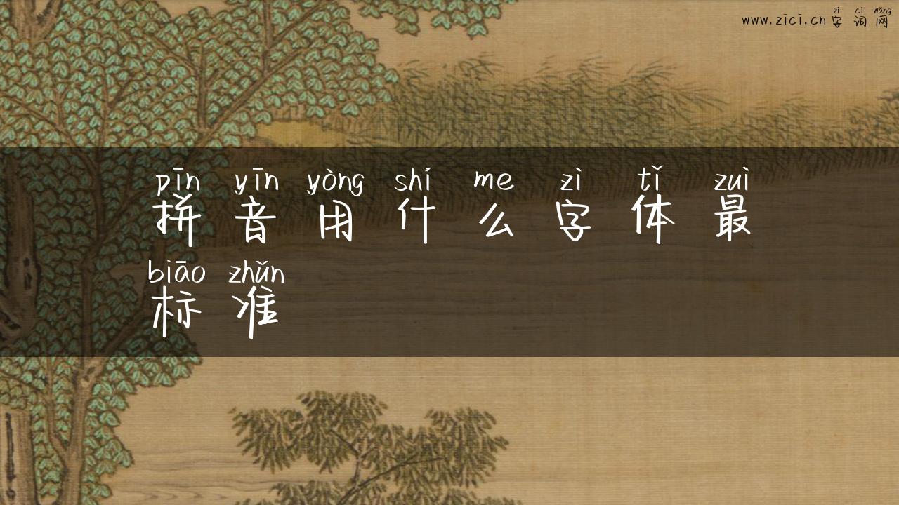 拼音用什么字体最标准