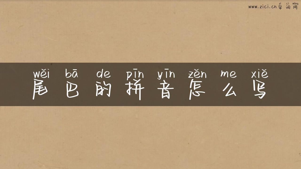 尾巴的拼音怎么写
