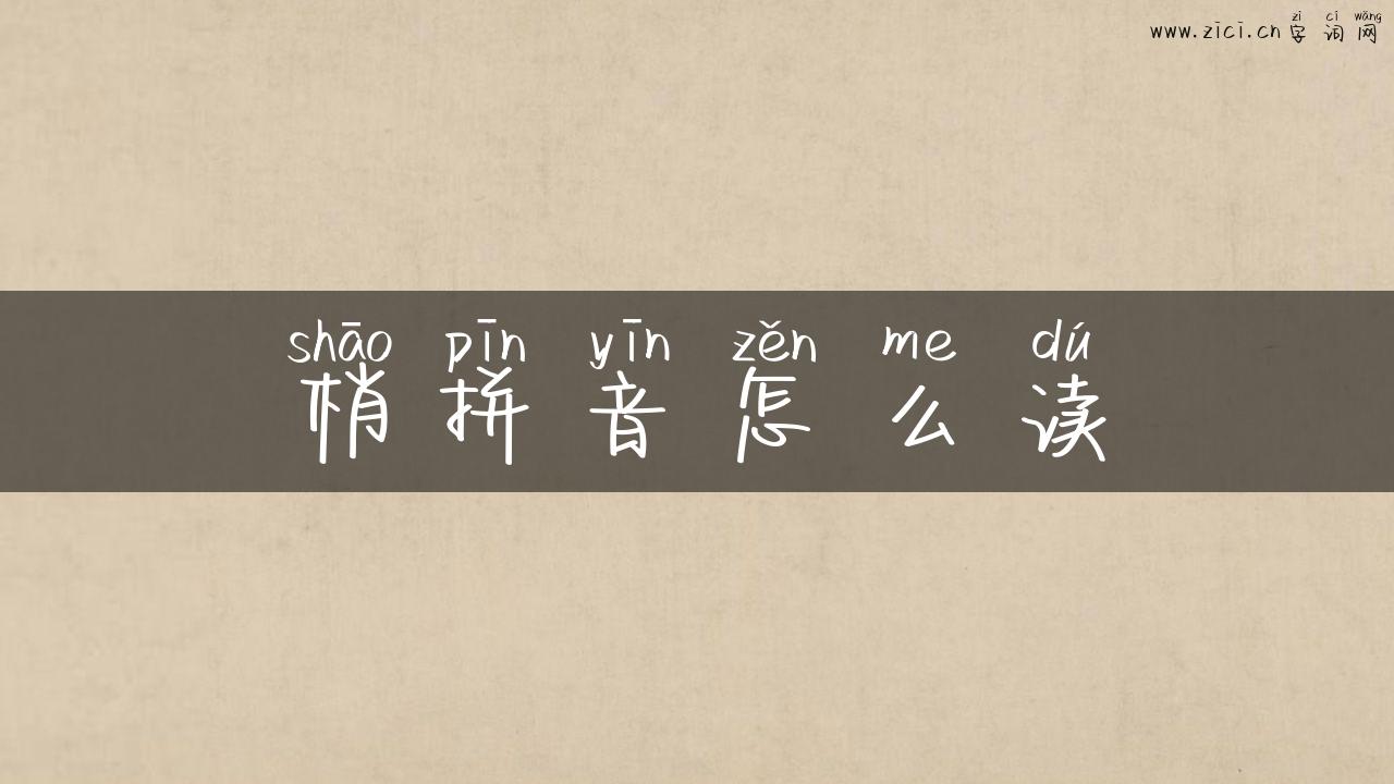 梢拼音怎么读