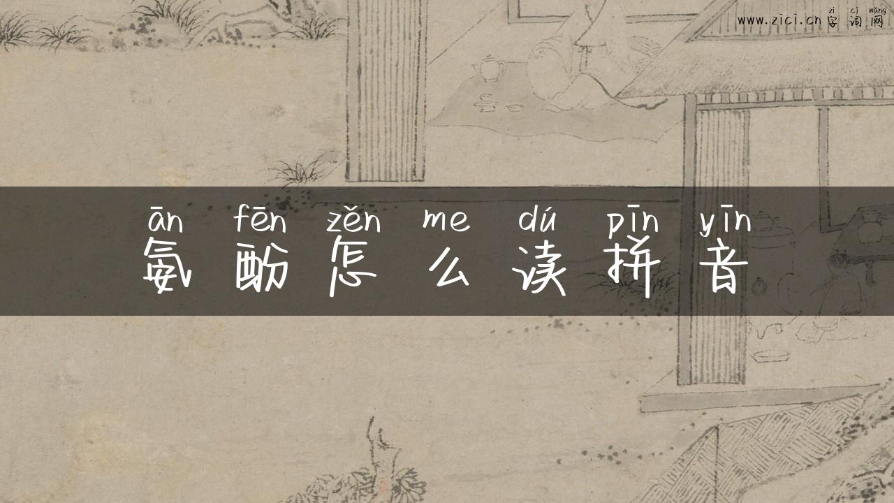 氨酚怎么读拼音