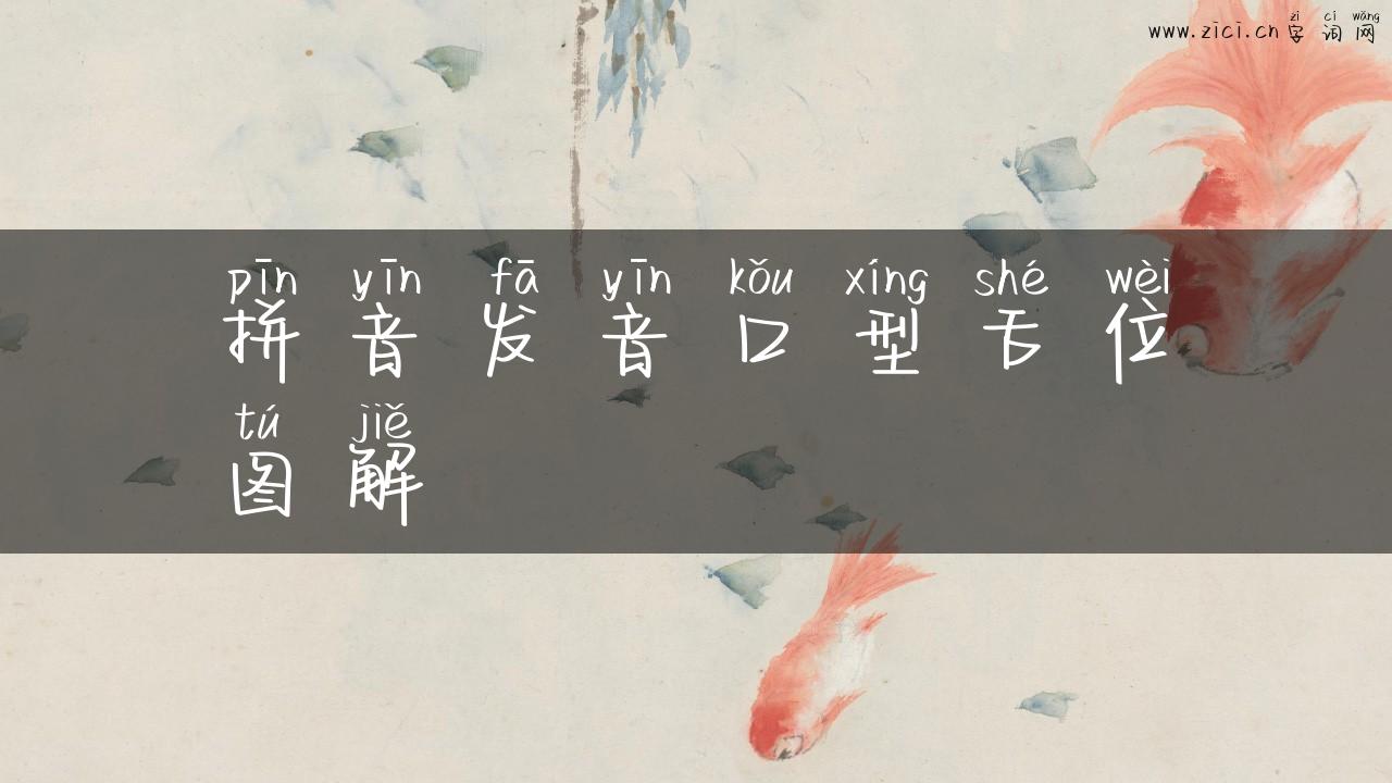 拼音发音口型舌位图解