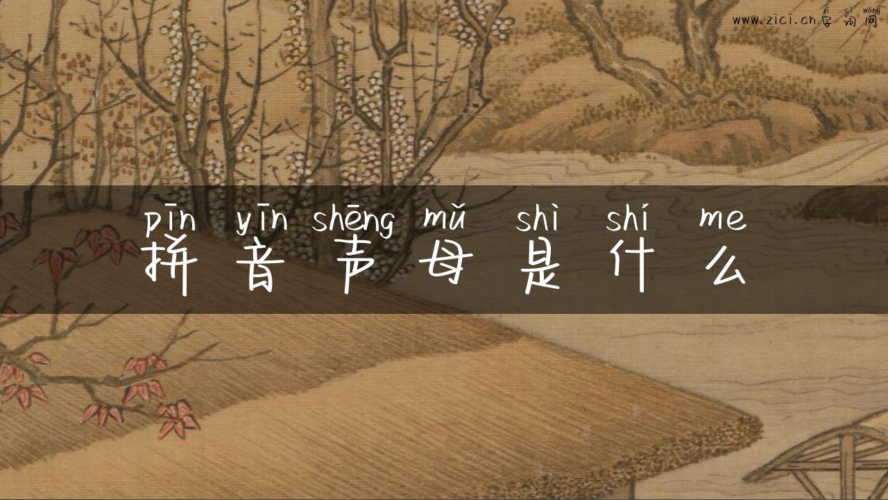 拼音声母是什么