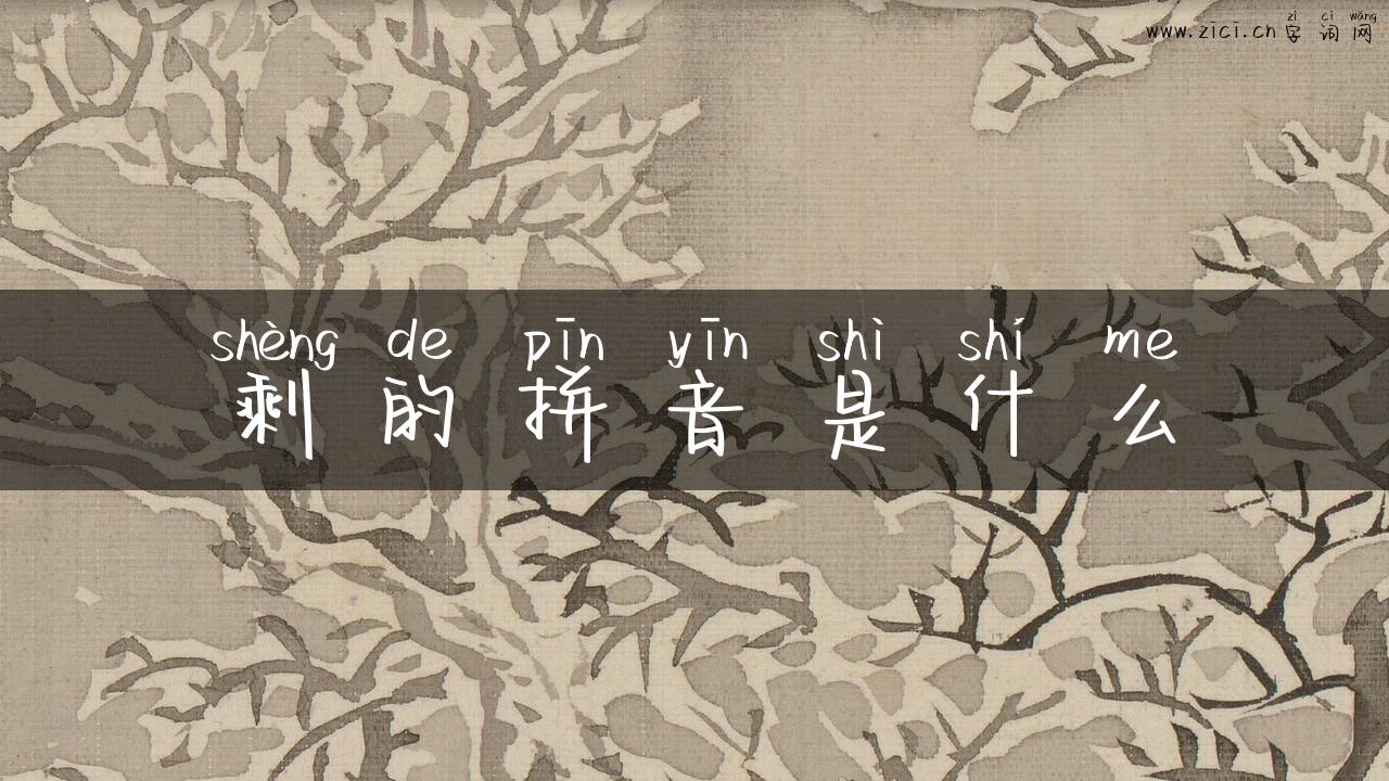 剩的拼音是什么