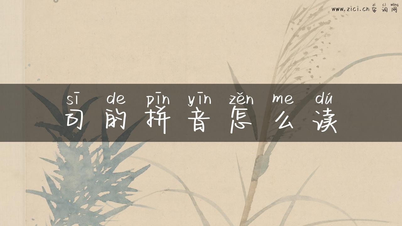 司的拼音怎么读