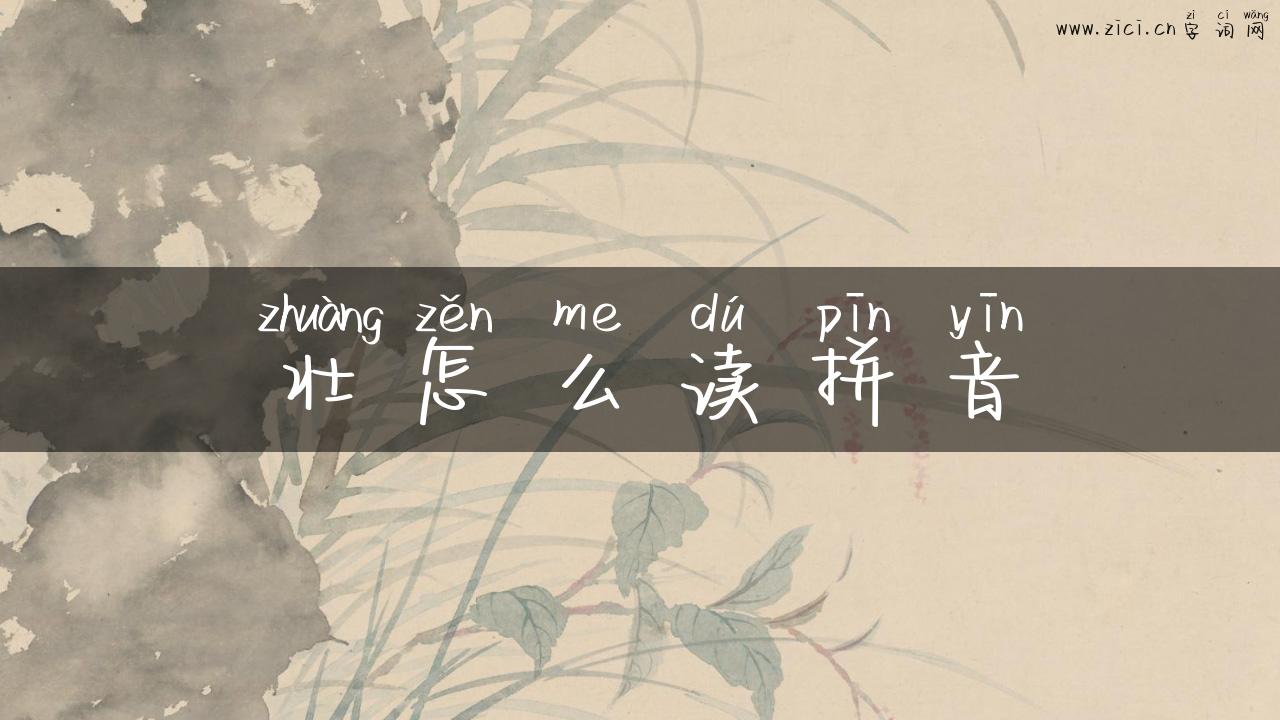 壮怎么读拼音