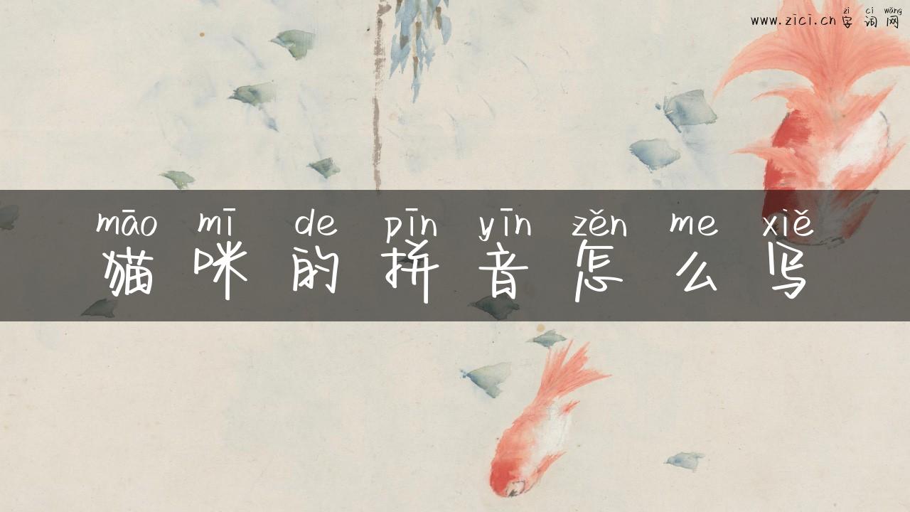 猫咪的拼音怎么写