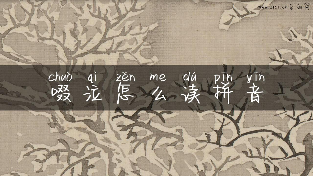啜泣怎么读拼音