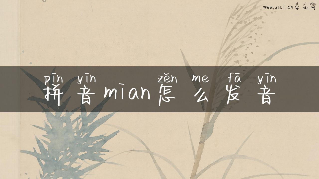 拼音mian怎么发音