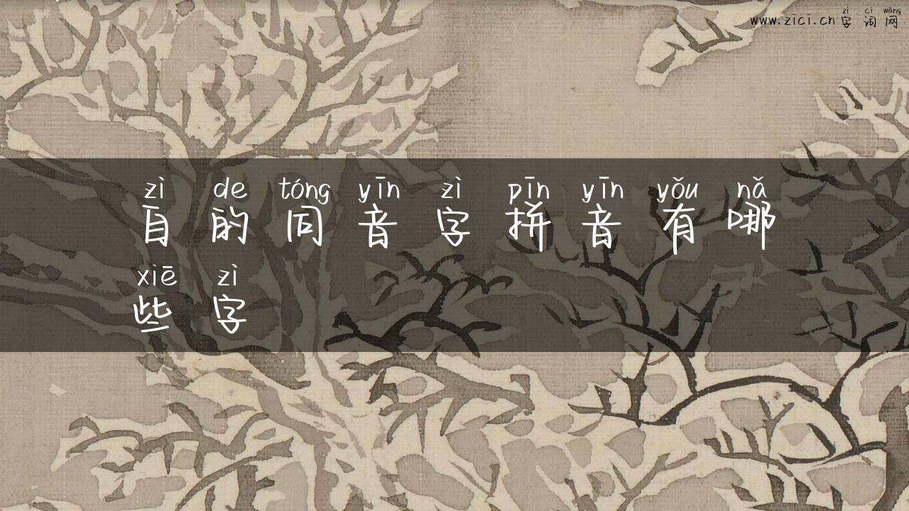 自的同音字拼音有哪些字